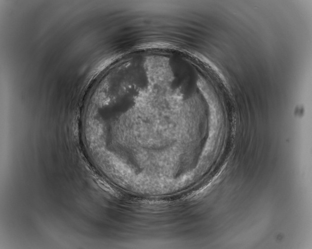 X0000099990921200806131431