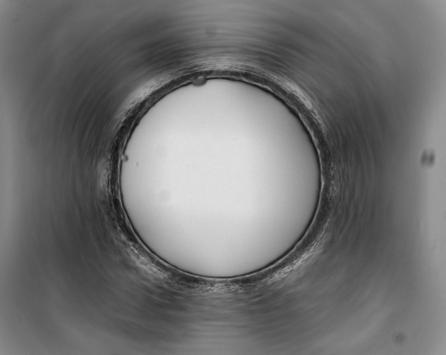 X0000099990922200806131431