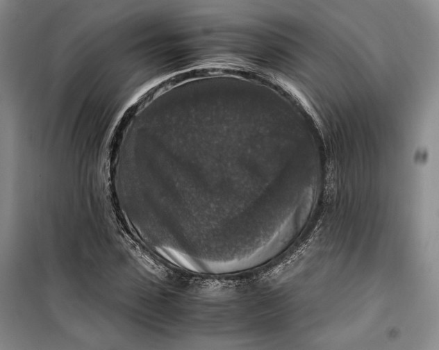 X0000099990923200806131431