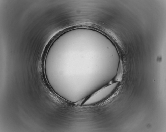 X0000099990924200806131431