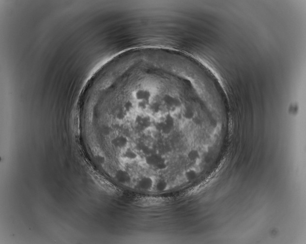 X0000099990925200806131431