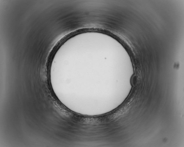 X0000099990927200806131431