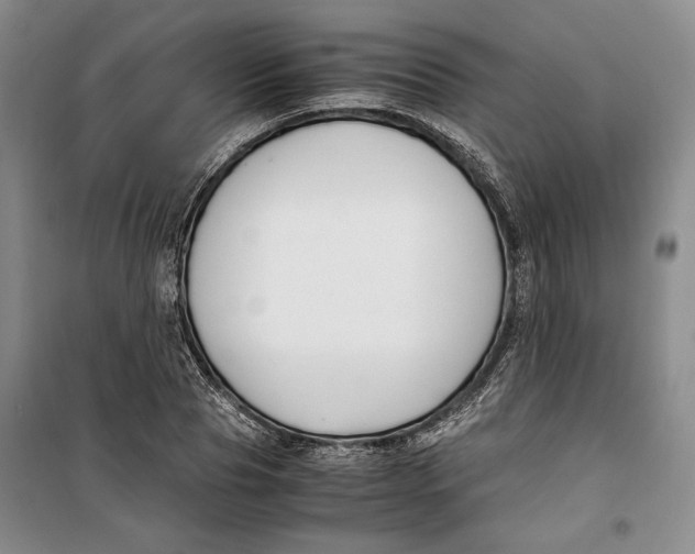 X0000099990929200806131431