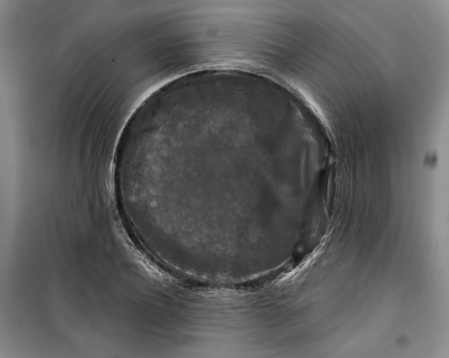 X0000099990932200806131431