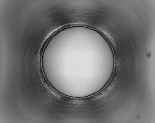 X0000099990933200806131431