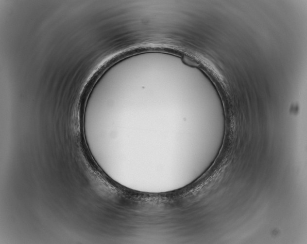 X0000099990934200806131431