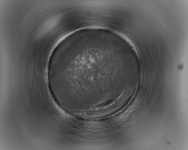 X0000099990935200806131431