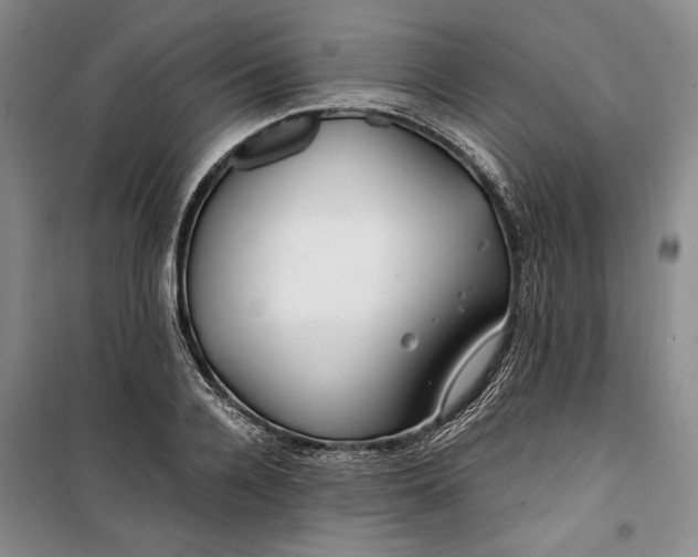 X0000099990936200806131431