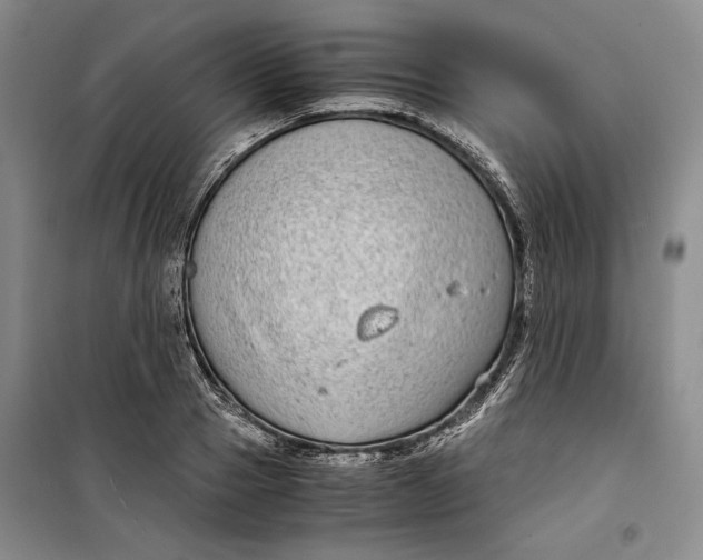 X0000099990937200806131431