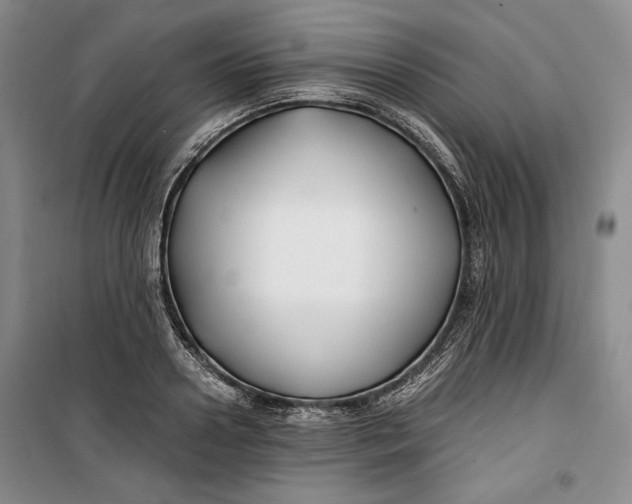 X0000099990938200806131431