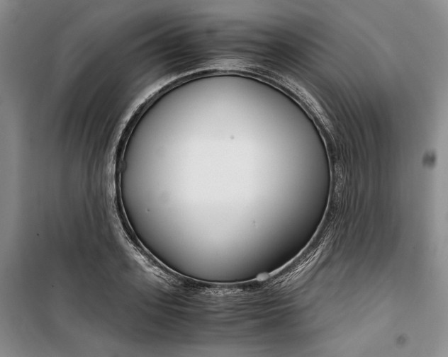 X0000099990939200806131431