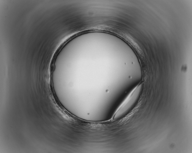 X0000099990940200806131431