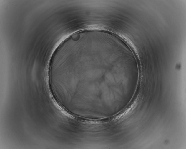 X0000099990941200806131431