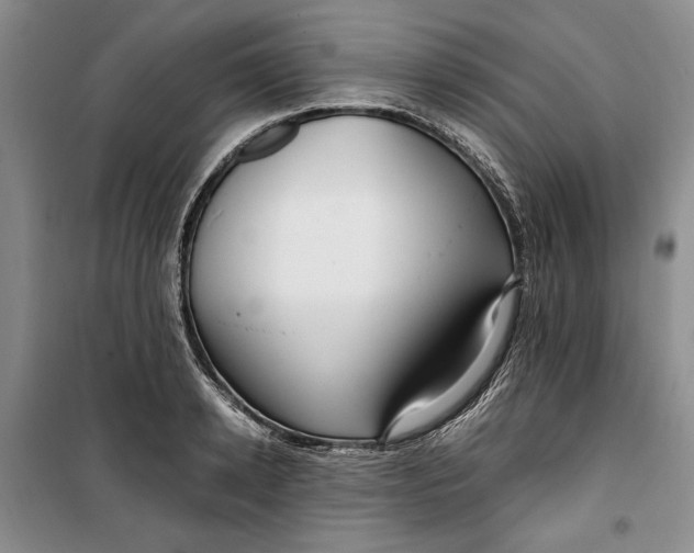 X0000099990942200806131431