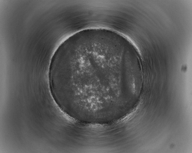 X0000099990943200806131431