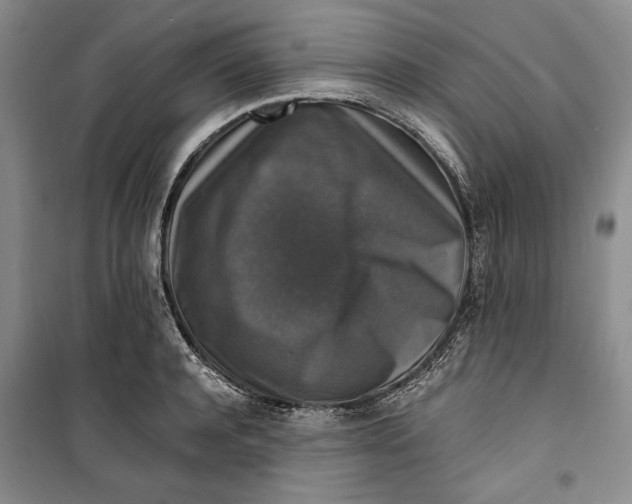 X0000099990944200806131431