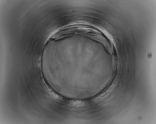 X0000099990945200806131431