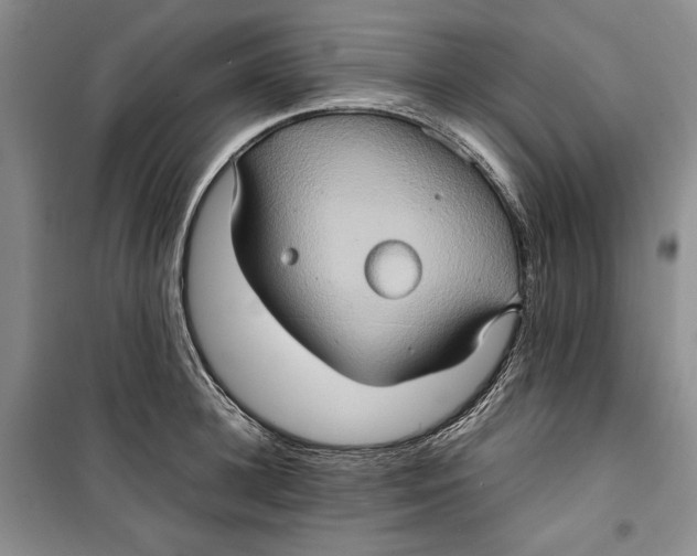 X0000099990948200806131431