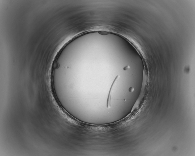 X0000099990949200806131431