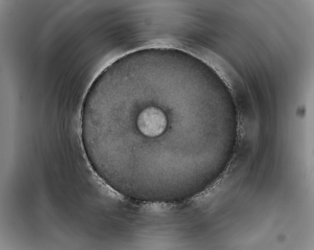 X0000099990950200806131431