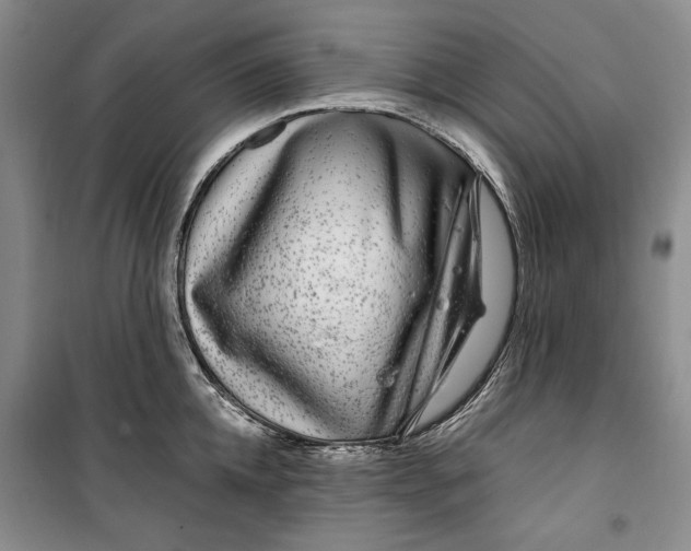 X0000099990952200806131431