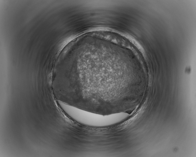 X0000099990953200806131431