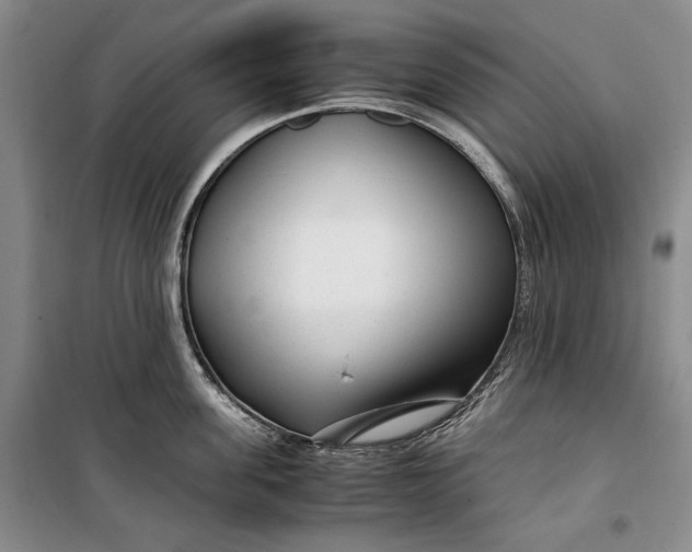 X0000099990955200806131431