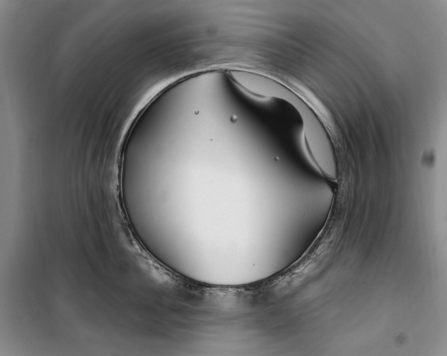 X0000099990956200806131431