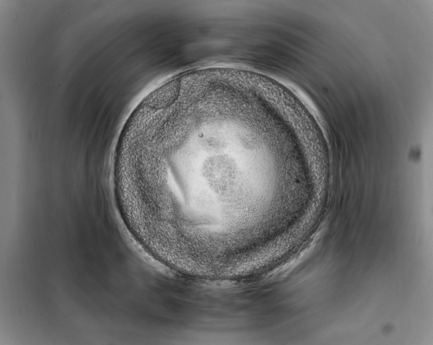 X0000099990957200806131431