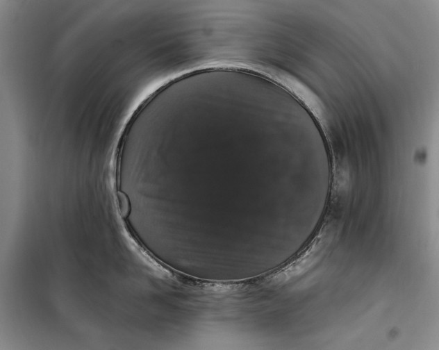 X0000099990958200806131431