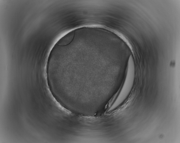 X0000099990959200806131431