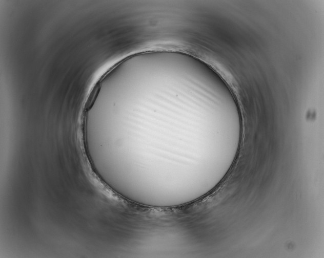 X0000099990960200806131431