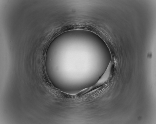 X0000099990961200806131431