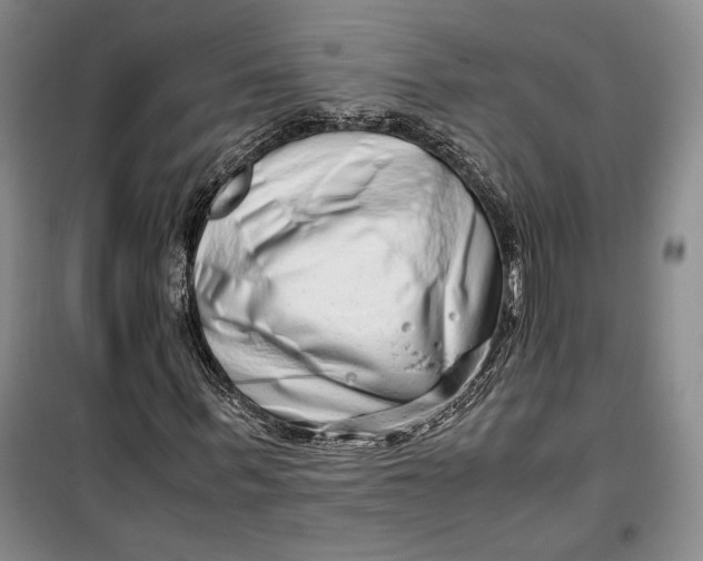 X0000099990963200806131431