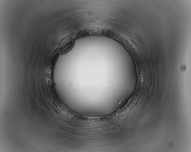 X0000099990964200806131431