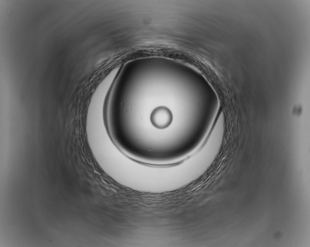 X0000099990965200806131431