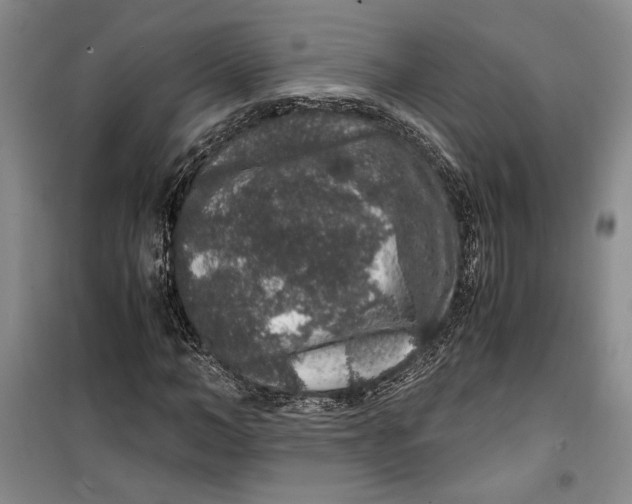 X0000099990966200806131431