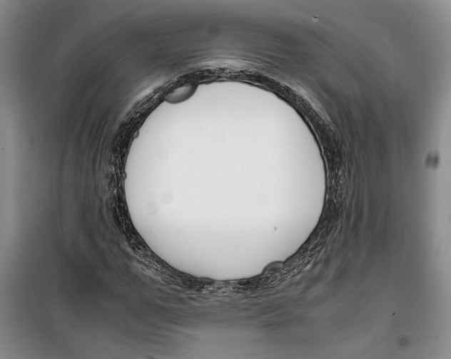 X0000099990967200806131431