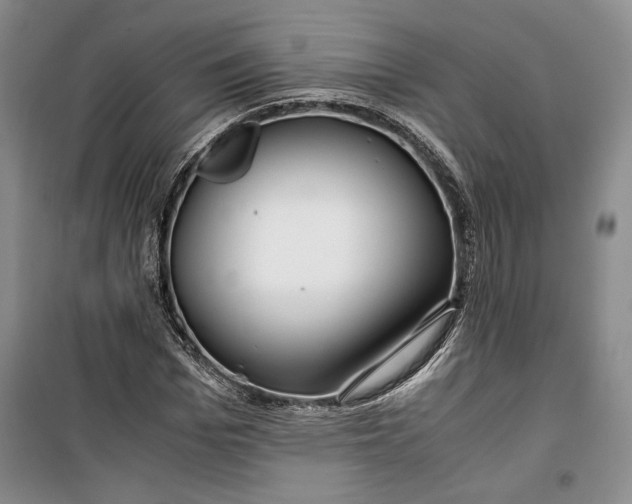 X0000099990969200806131431