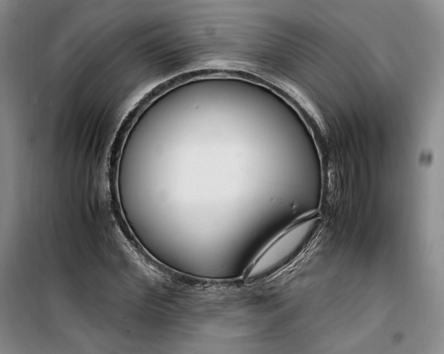 X0000099990972200806131431