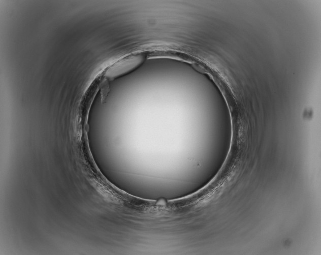 X0000099990973200806131431