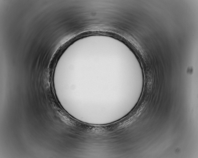 X0000099990974200806131431