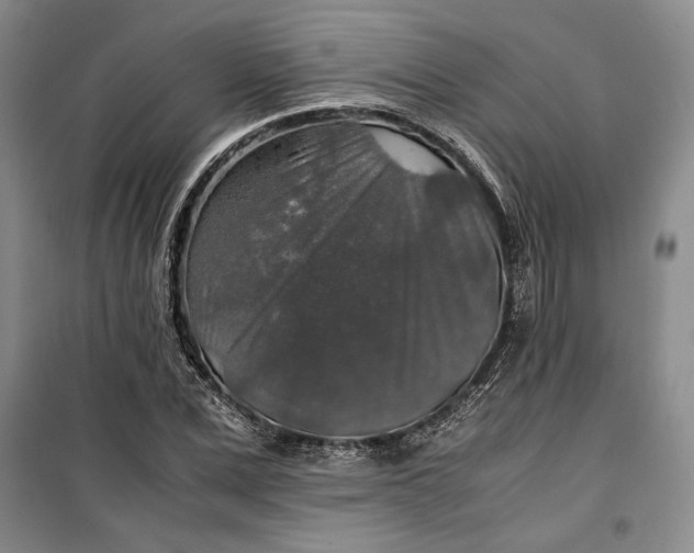 X0000099990975200806131431