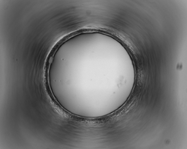 X0000099990976200806131431