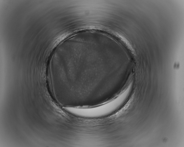 X0000099990977200806131431