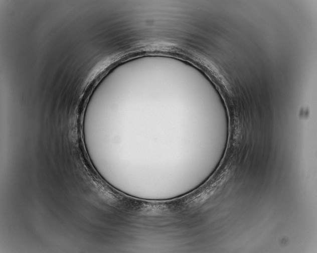 X0000099990978200806131431