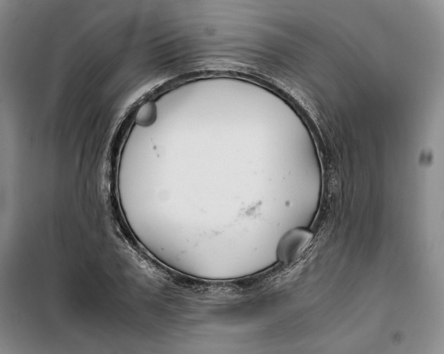 X0000099990979200806131431