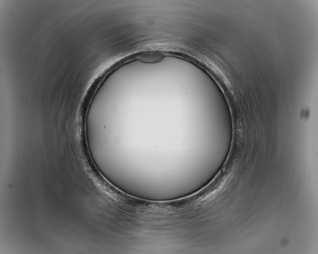 X0000099990981200806131430