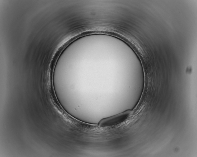 X0000099990982200806131430