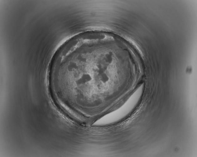 X0000099990983200806131430